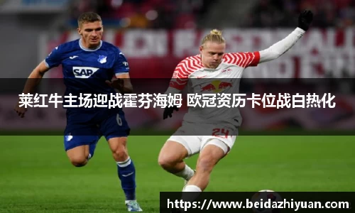 莱红牛主场迎战霍芬海姆 欧冠资历卡位战白热化